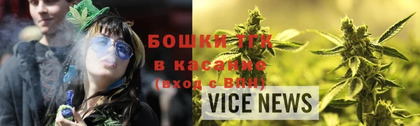 прущие грибы Балахна