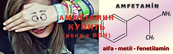 прущие грибы Балахна