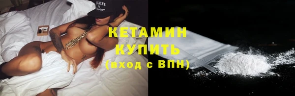 прущие грибы Балахна