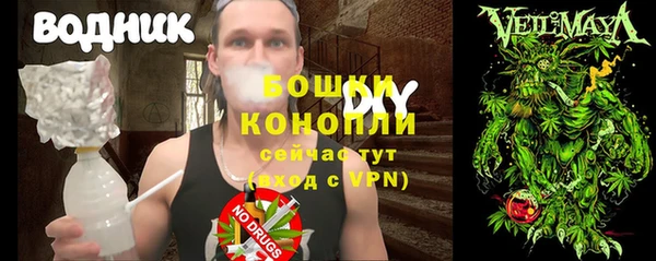 прущие грибы Балахна